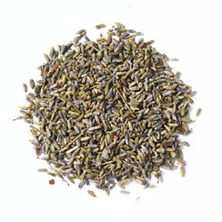 Biologische Lavendel